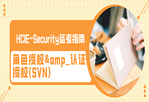 HCIE-Security备考指南