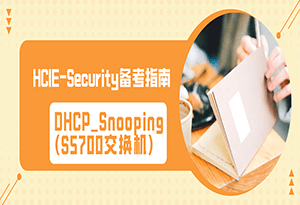 HCIE-Security备考指南